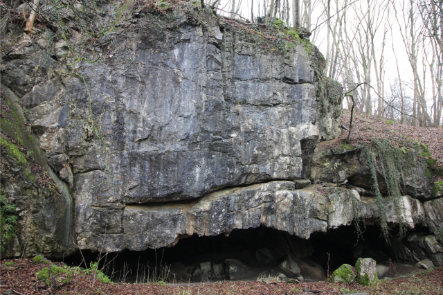 Rots in Rocher de Nasproué, België